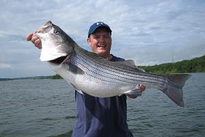 Norfork lake shop fishing report